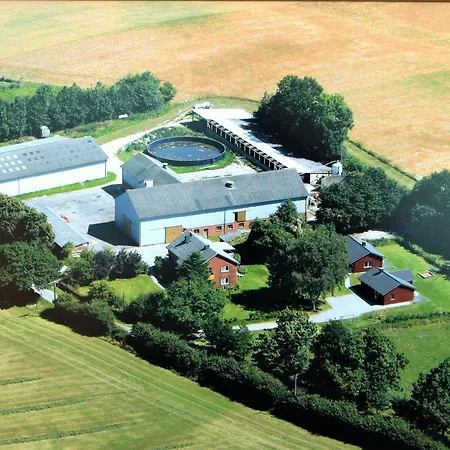 Appartement Seeschwalbe Munkbrarup