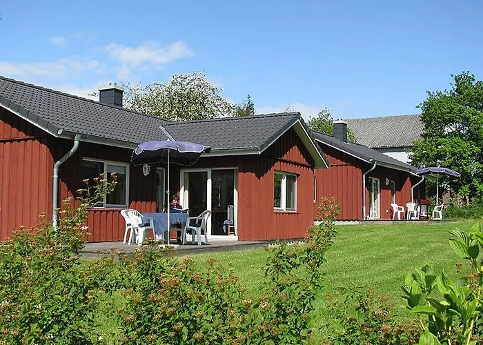 Seeschwalbe * Munkbrarup