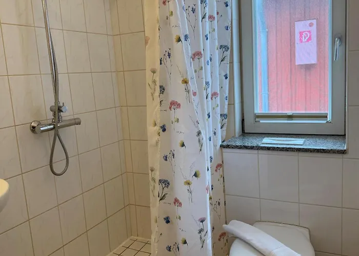 Seeschwalbe Munkbrarup